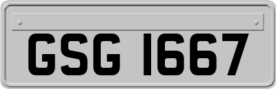 GSG1667