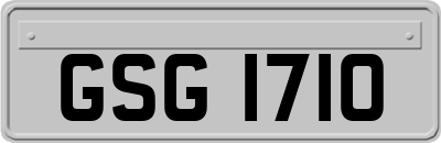 GSG1710