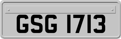 GSG1713