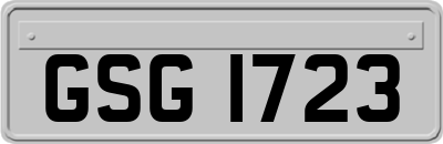 GSG1723