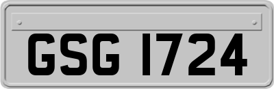 GSG1724