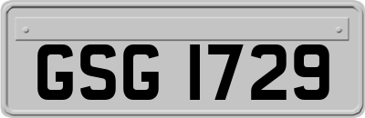 GSG1729