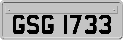 GSG1733