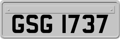 GSG1737