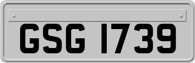 GSG1739