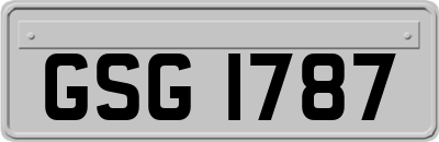 GSG1787