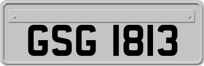 GSG1813