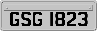 GSG1823