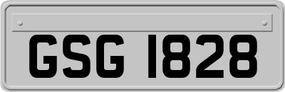 GSG1828