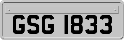 GSG1833