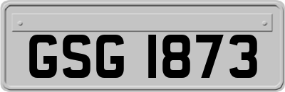 GSG1873