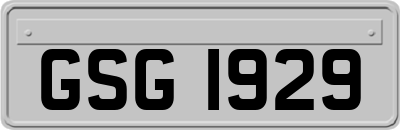 GSG1929