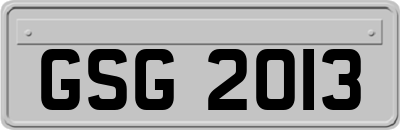 GSG2013