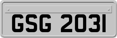 GSG2031