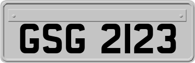GSG2123