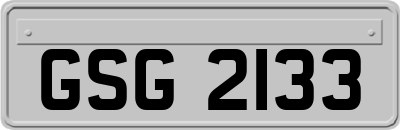 GSG2133