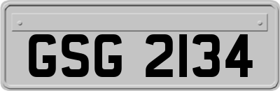 GSG2134