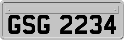 GSG2234