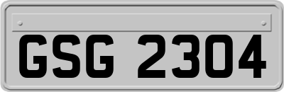 GSG2304