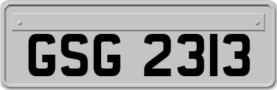 GSG2313