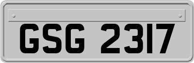 GSG2317