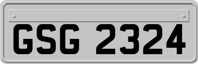GSG2324