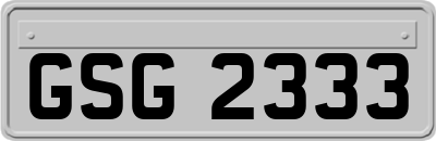 GSG2333