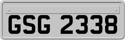 GSG2338