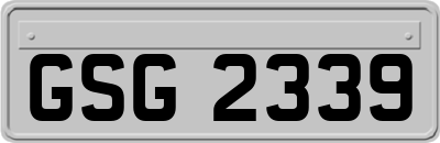 GSG2339