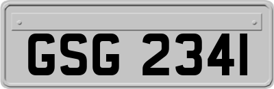GSG2341