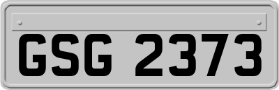 GSG2373