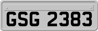 GSG2383