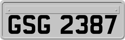 GSG2387