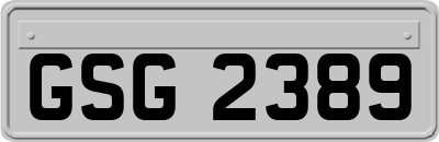 GSG2389