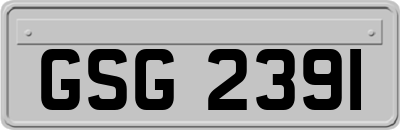 GSG2391