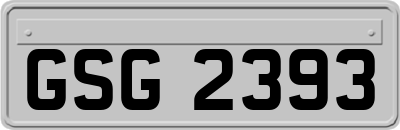 GSG2393