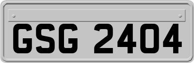 GSG2404