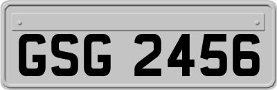 GSG2456