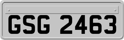 GSG2463