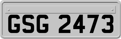 GSG2473