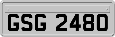 GSG2480