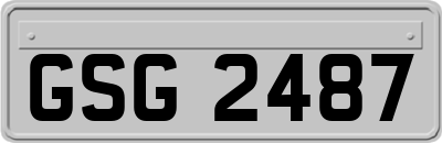 GSG2487