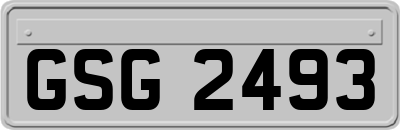 GSG2493