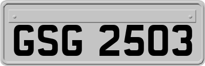 GSG2503