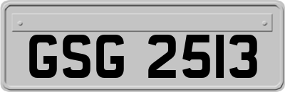 GSG2513