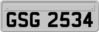 GSG2534