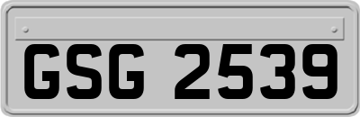 GSG2539