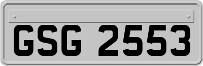 GSG2553