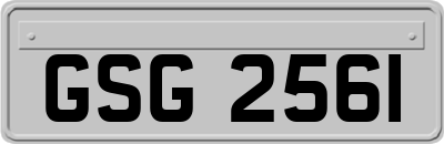 GSG2561