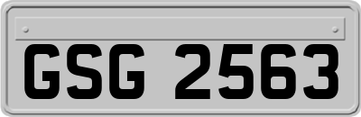 GSG2563